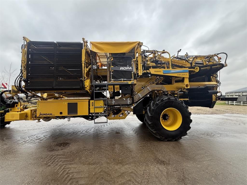 Ropa KEILER II L WD RK22 Ropa KEILER II L WD RK22 - Kombajn za krompir: slika 5 Ropa KEILER II L WD RK22 Ropa KEILER II L WD RK22 - Kombajn za krompir: slika 5