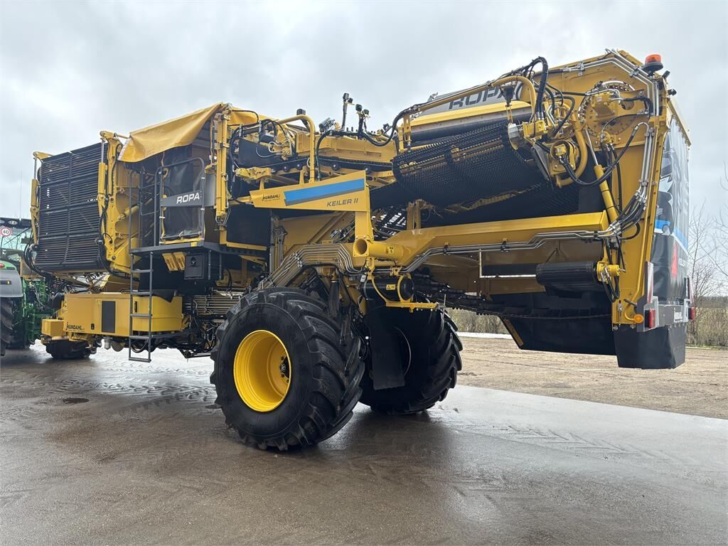 Ropa KEILER II L WD RK22 Ropa KEILER II L WD RK22 - Kombajn za krompir: slika 3 Ropa KEILER II L WD RK22 Ropa KEILER II L WD RK22 - Kombajn za krompir: slika 3