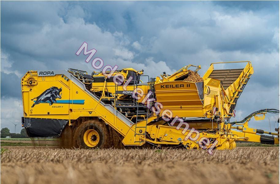 Ropa KEILER II L WD RK22 Ropa KEILER II L WD RK22 - Kombajn za krompir: slika 1 Ropa KEILER II L WD RK22 Ropa KEILER II L WD RK22 - Kombajn za krompir: slika 1