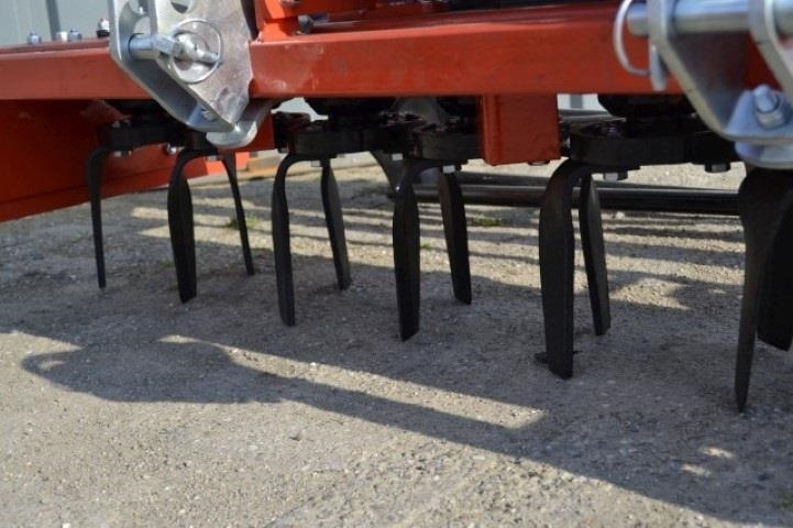 - - - boxer - Brana: slika 4 - - - boxer - Brana: slika 4