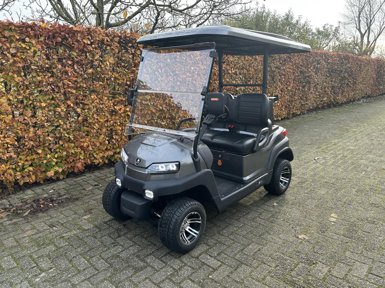 OX ZG2 2-zit Golfkar Grijs (Demo) - Voziček za golf: slika 1 OX ZG2 2-zit Golfkar Grijs (Demo) - Voziček za golf: slika 1