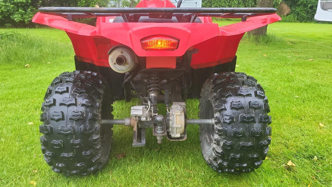 Yamaha Grizzly 300 - Štirikolesnik: slika 5 Yamaha Grizzly 300 - Štirikolesnik: slika 5