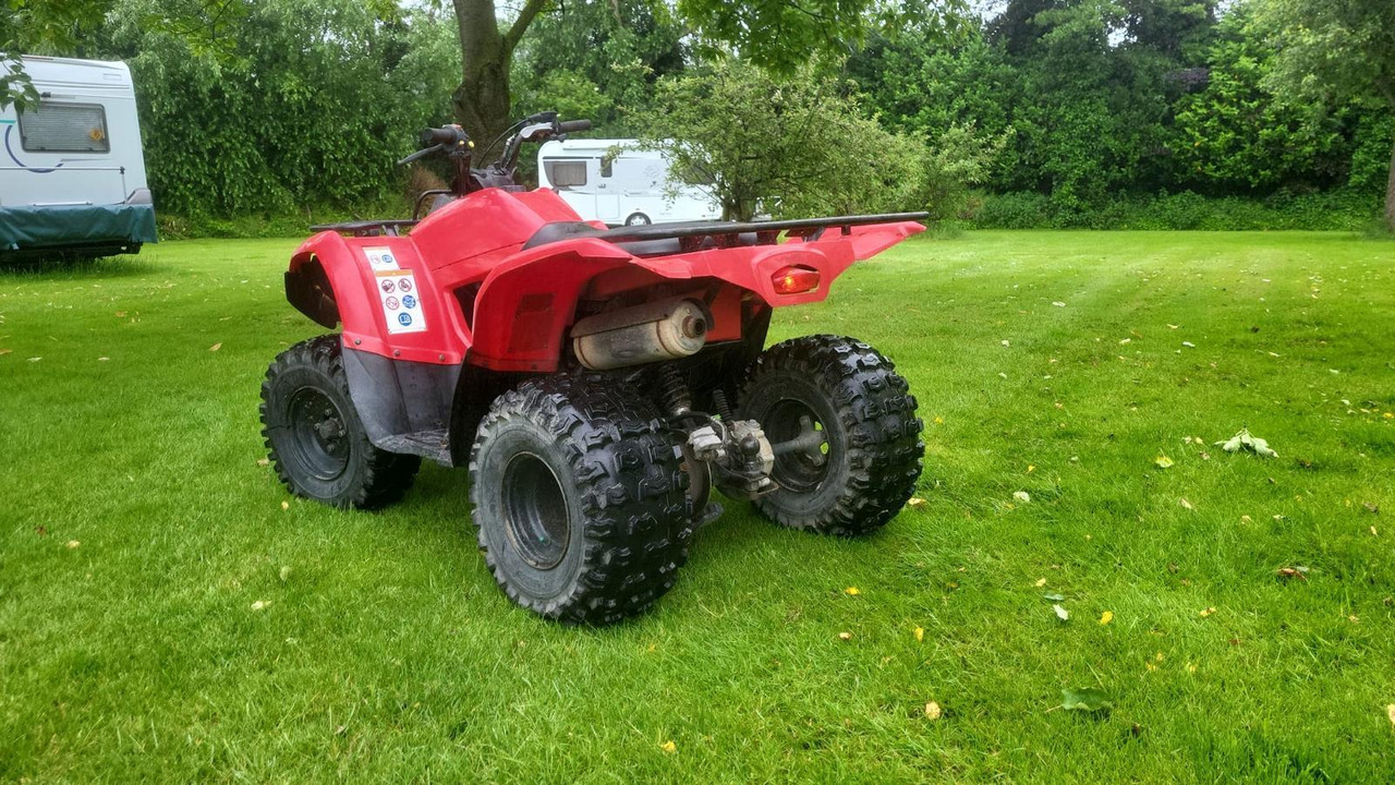 Yamaha Grizzly 300 - Štirikolesnik: slika 3 Yamaha Grizzly 300 - Štirikolesnik: slika 3