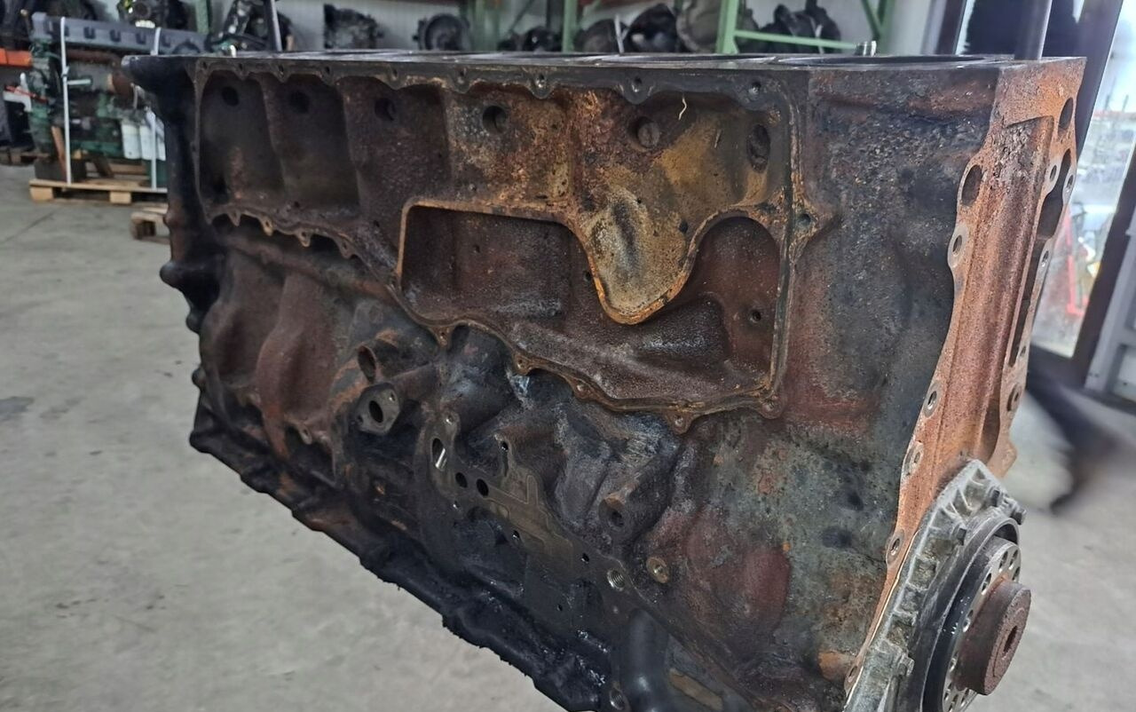 1002016 Renault PREMIUM DXI 11 440 - Blok cilindra za Tovornjak: slika 3 1002016 Renault PREMIUM DXI 11 440 - Blok cilindra za Tovornjak: slika 3