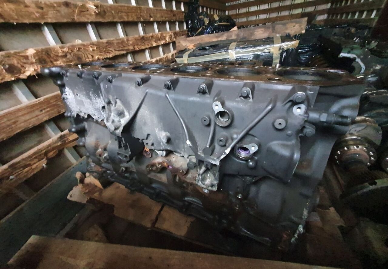 RENAULT BLOK SILNIKA SŁUPEK TŁOKI WAŁ RENAULT GAMA RANGE T DTI11 460 430 - Blok cilindra za Tovornjak: slika 1 RENAULT BLOK SILNIKA SŁUPEK TŁOKI WAŁ RENAULT GAMA RANGE T DTI11 460 430 - Blok cilindra za Tovornjak: slika 1