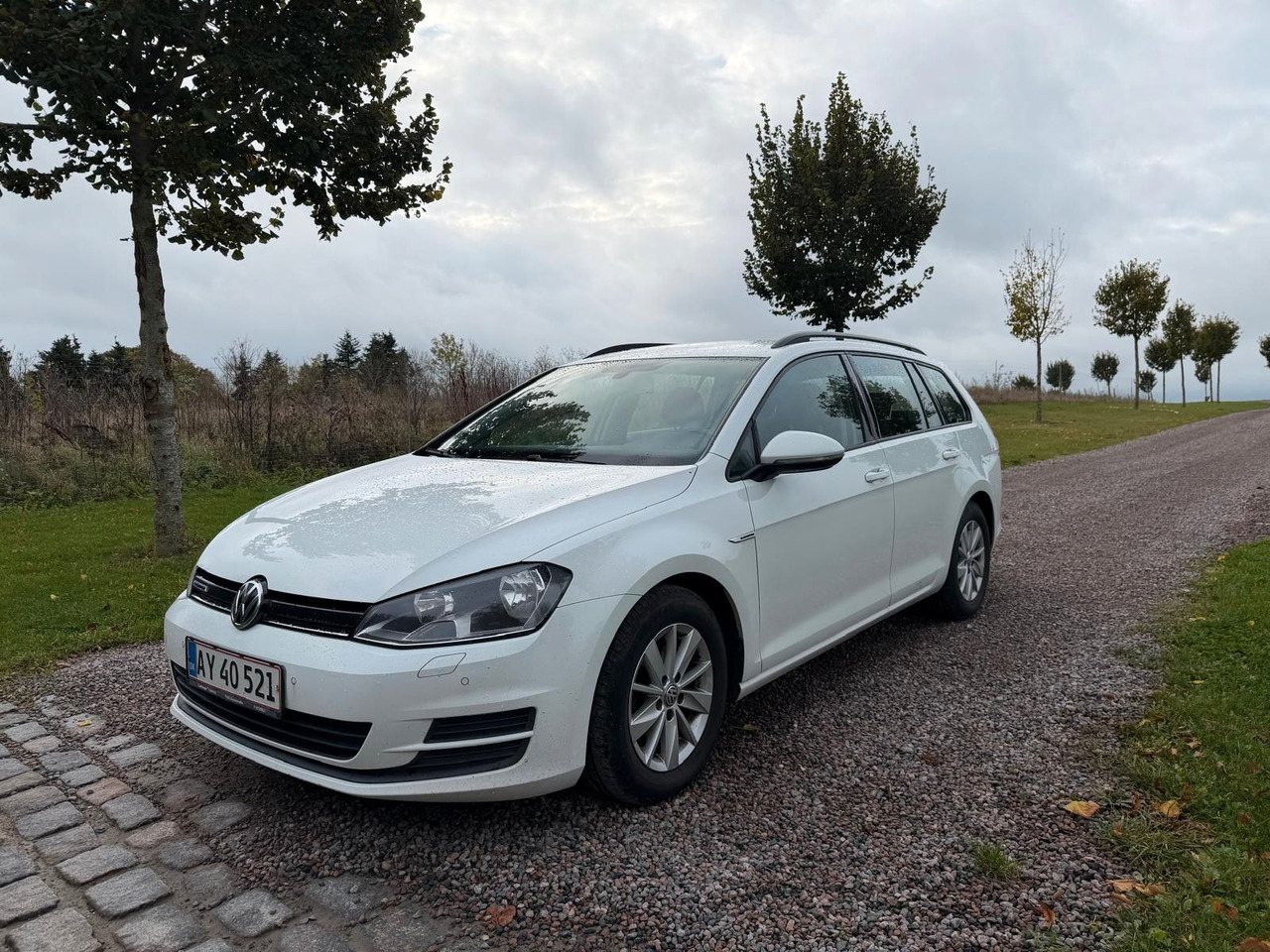 Volkswagen Golf VII Trendline BlueMotion - Karavan: slika 1 Volkswagen Golf VII Trendline BlueMotion - Karavan: slika 1