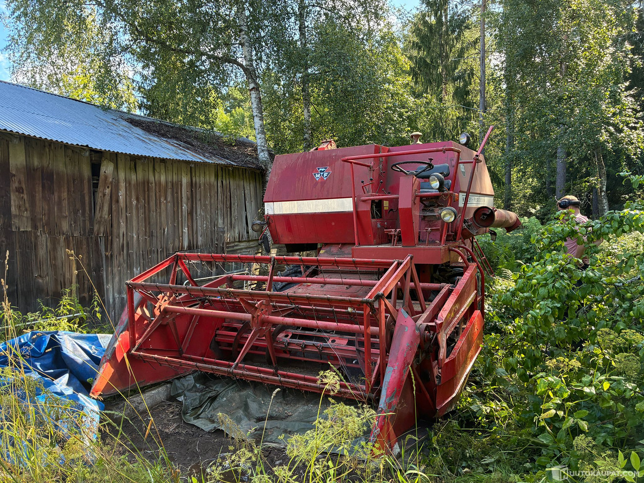 Massey Ferguson 186 Leikkuupuimuri, Kangasala - Kmetijski stroj: slika 2 Massey Ferguson 186 Leikkuupuimuri, Kangasala - Kmetijski stroj: slika 2