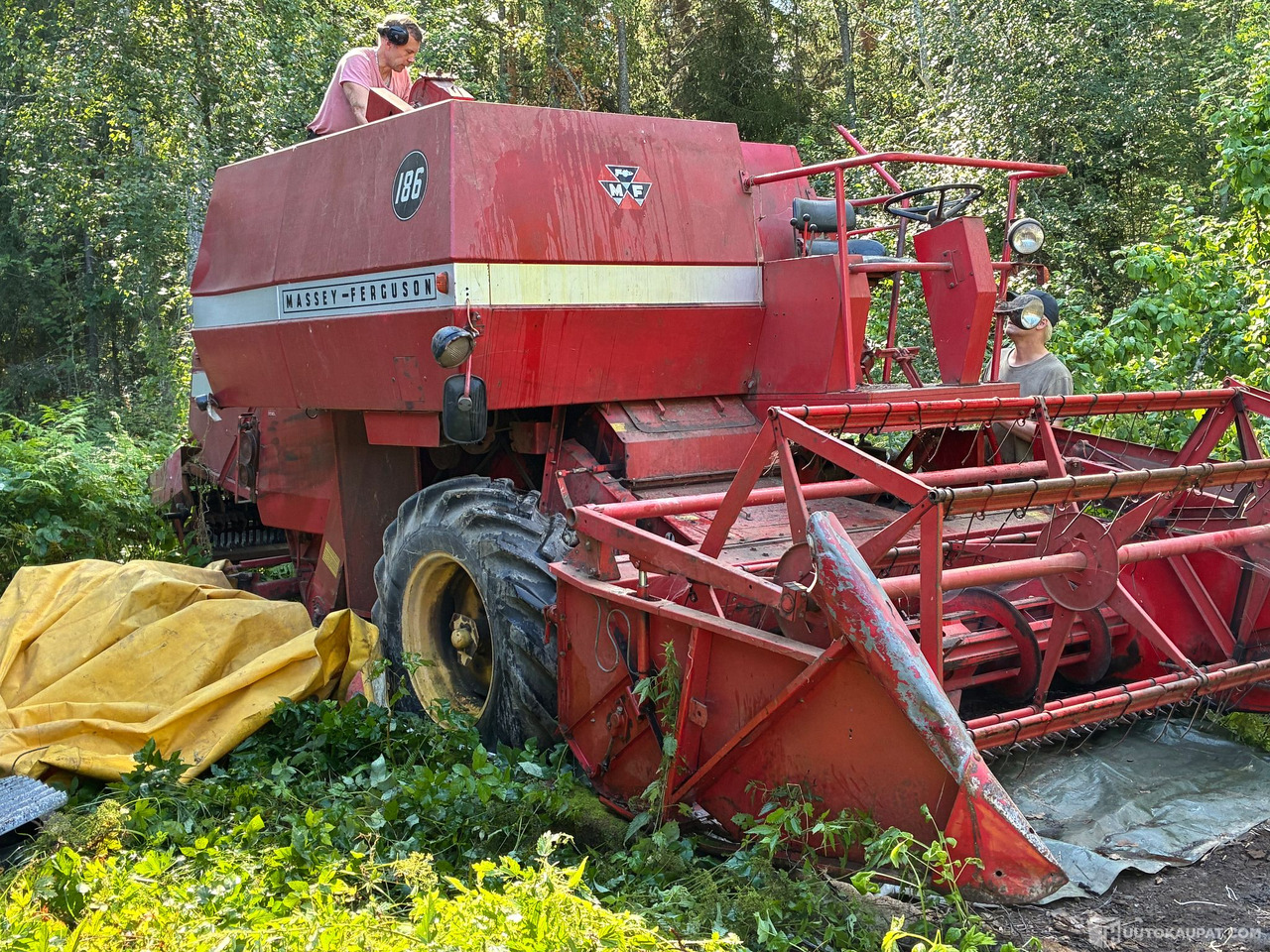 Massey Ferguson 186 Leikkuupuimuri, Kangasala - Kmetijski stroj: slika 3 Massey Ferguson 186 Leikkuupuimuri, Kangasala - Kmetijski stroj: slika 3