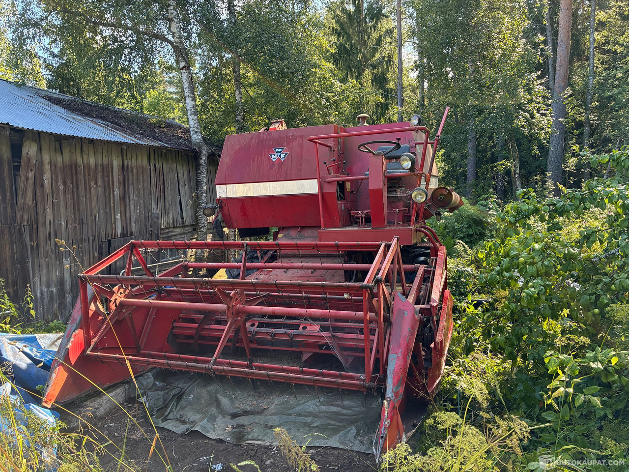 Massey Ferguson 186 Leikkuupuimuri, Kangasala - Kmetijski stroj: slika 4 Massey Ferguson 186 Leikkuupuimuri, Kangasala - Kmetijski stroj: slika 4