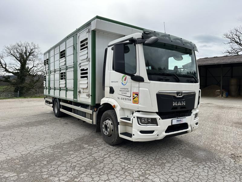 MAN M 90 15.290 TGM - Tovornjak za prevoz živine: slika 2 MAN M 90 15.290 TGM - Tovornjak za prevoz živine: slika 2