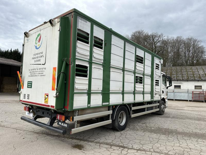 MAN M 90 15.290 TGM - Tovornjak za prevoz živine: slika 5 MAN M 90 15.290 TGM - Tovornjak za prevoz živine: slika 5