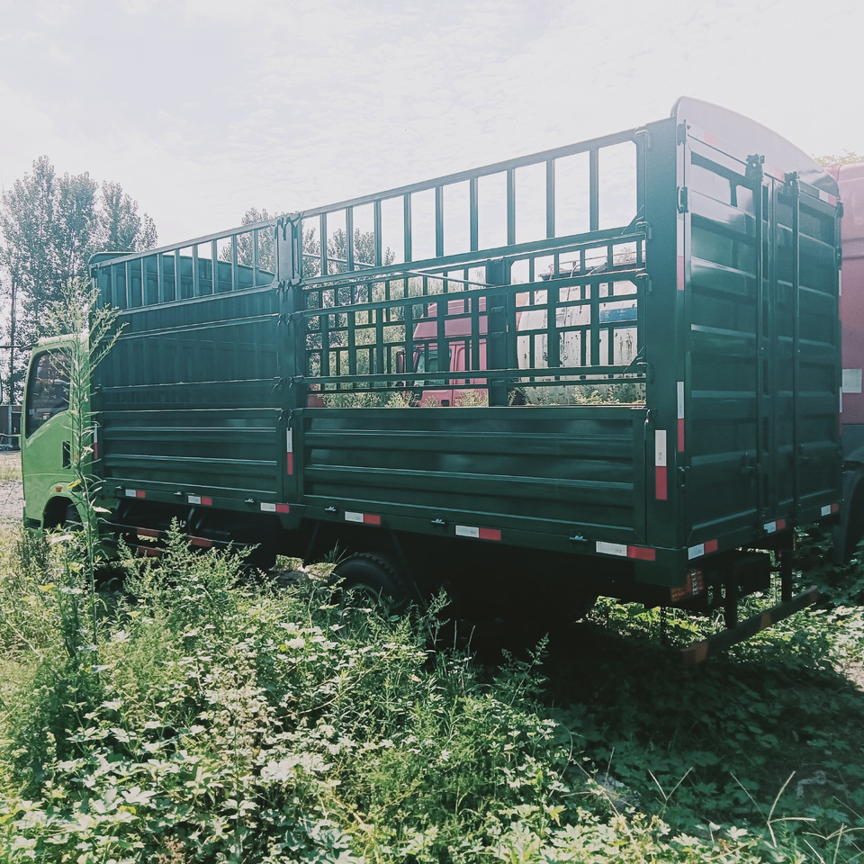 Tovornjak SINOTRUK HOWO: slika 6