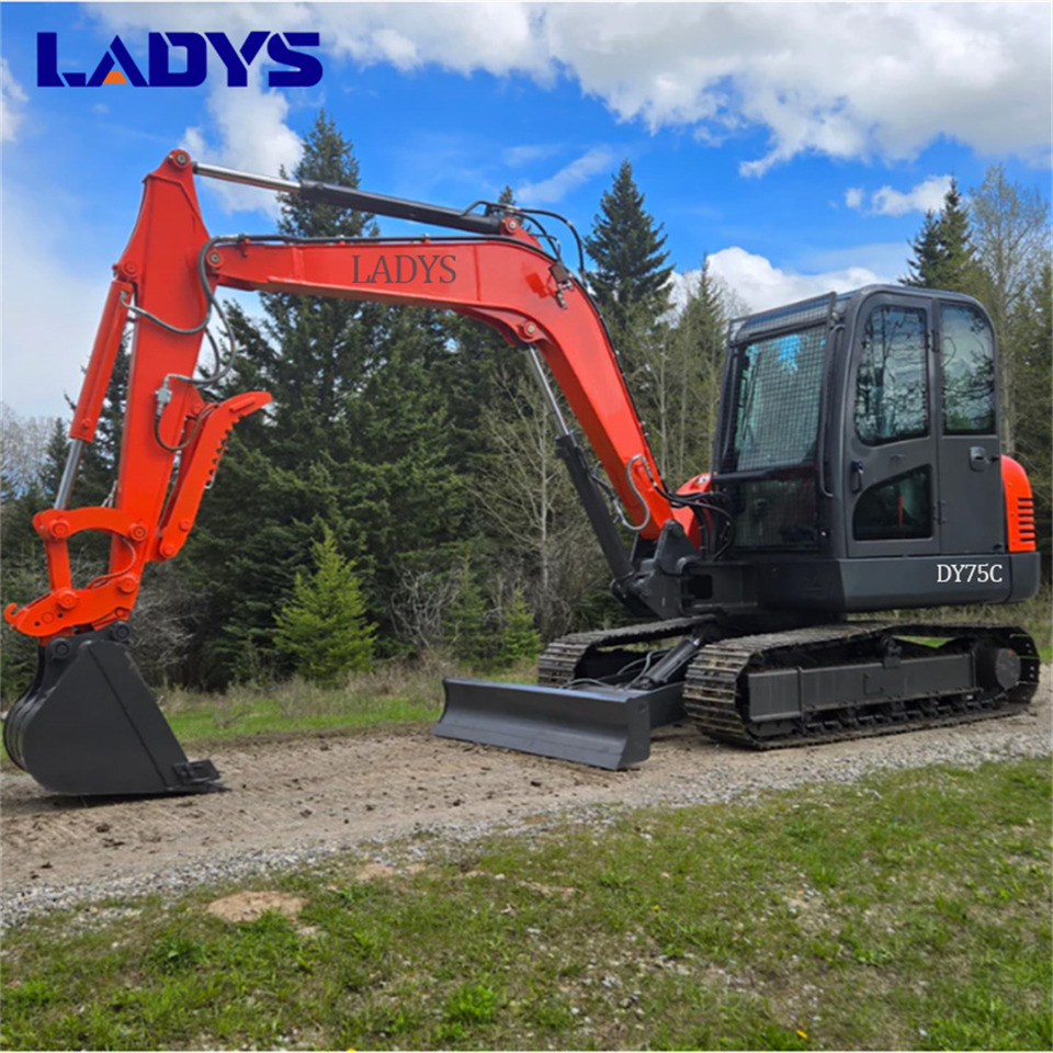 LADYS DY75C Small Crawler Excavator Euro 5/EPA Yanmar Engine Mini Small Excavator For Sale - Bager: slika 1 LADYS DY75C Small Crawler Excavator Euro 5/EPA Yanmar Engine Mini Small Excavator For Sale - Bager: slika 1