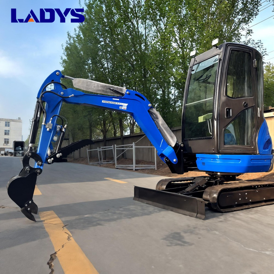 LADYS DY25U Mini Excavator Digger Miniexcavadora EPA Kubota Engine Mini Excavator For Sale With Mini Excavator Attachment Set - Bager goseničar: slika 4 LADYS DY25U Mini Excavator Digger Miniexcavadora EPA Kubota Engine Mini Excavator For Sale With Mini Excavator Attachment Set - Bager goseničar: slika 4