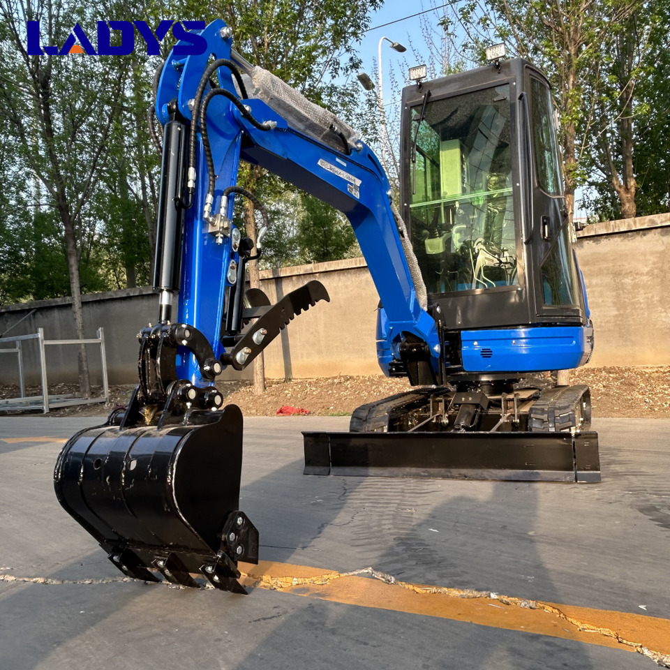 LADYS DY25U Mini Excavator Digger Miniexcavadora EPA Kubota Engine Mini Excavator For Sale With Mini Excavator Attachment Set - Bager goseničar: slika 3 LADYS DY25U Mini Excavator Digger Miniexcavadora EPA Kubota Engine Mini Excavator For Sale With Mini Excavator Attachment Set - Bager goseničar: slika 3