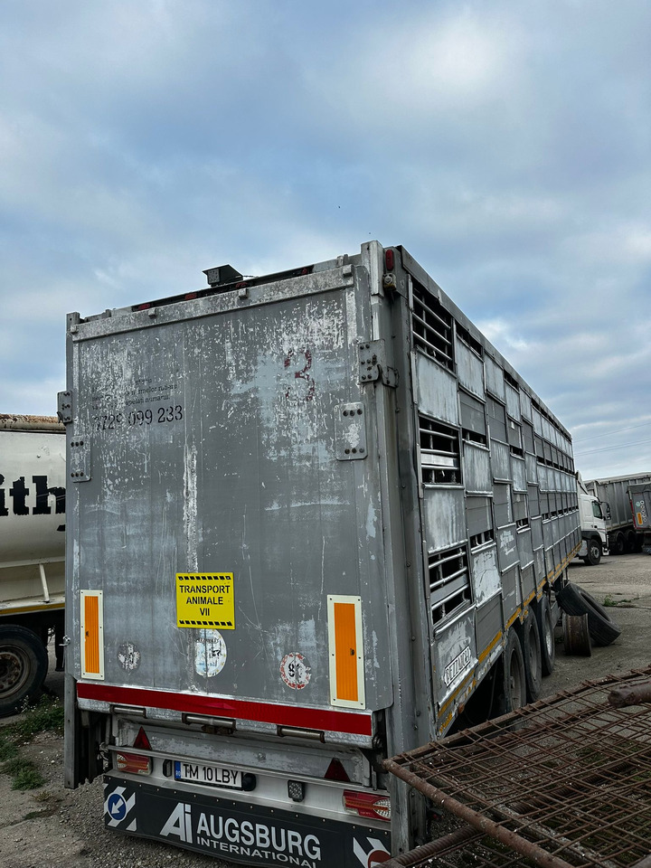 PEZZAIOLLI Animal Transport Semi-trailer - Polprikolica za prevoz živine: slika 3 PEZZAIOLLI Animal Transport Semi-trailer - Polprikolica za prevoz živine: slika 3