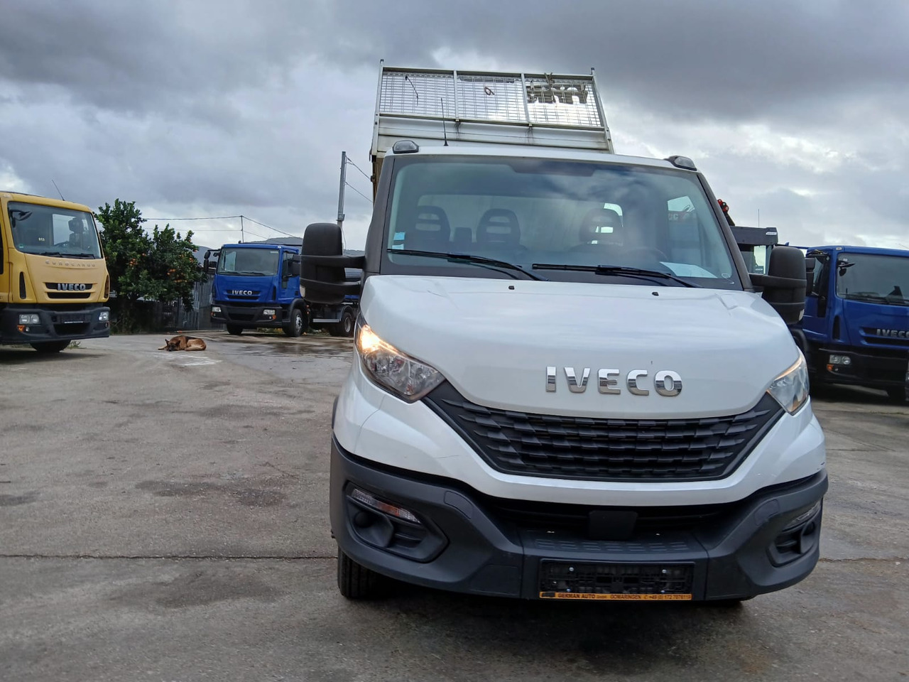 Tovornjak z dvigalom IVECO DAILY 35-120: slika 29