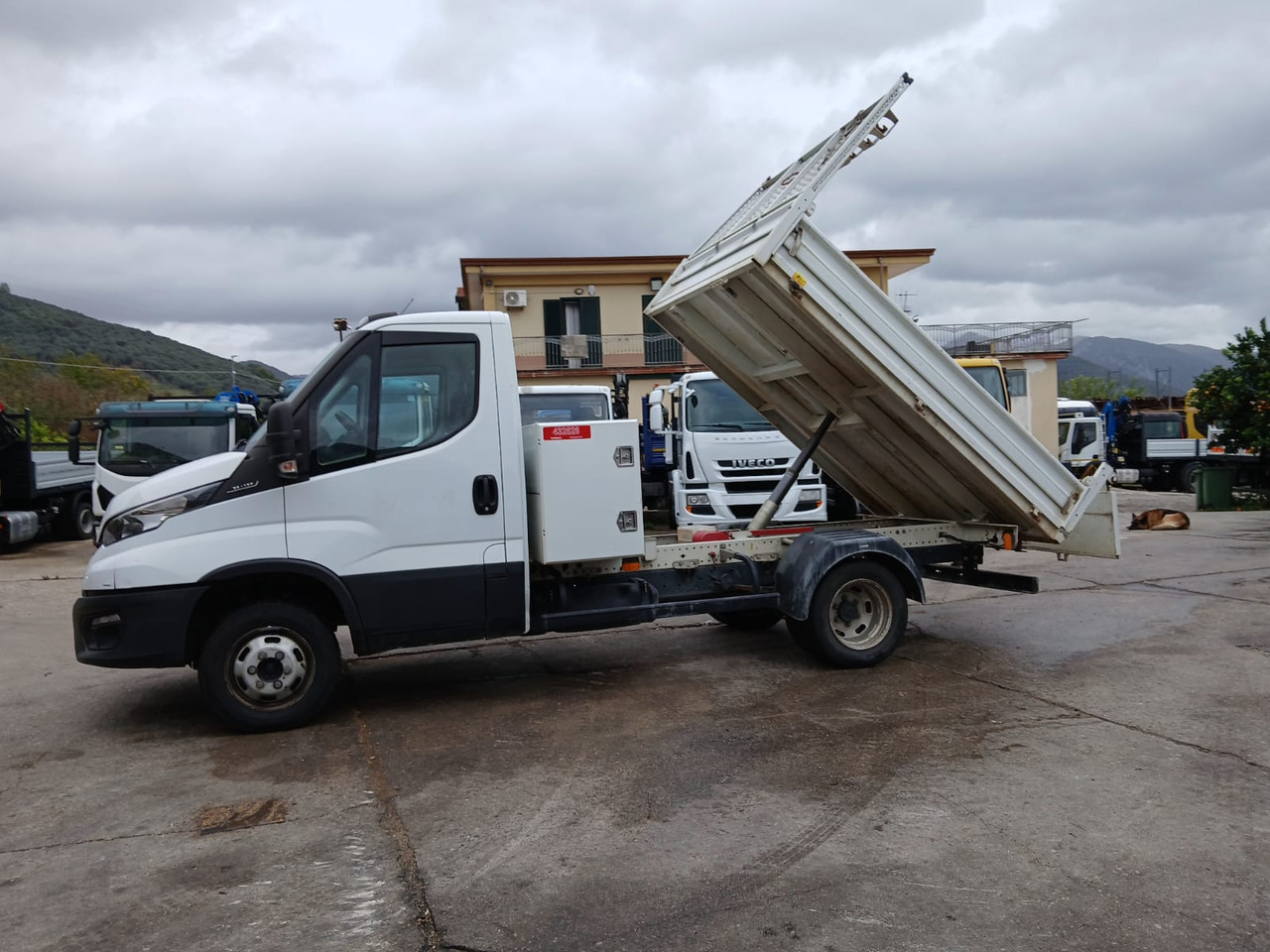 Tovornjak z dvigalom IVECO DAILY 35-120: slika 24