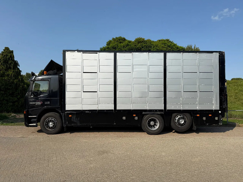 Volvo FM 300 Livestock Cuppers 3 laags 6x2 - Tovornjak za prevoz živine: slika 4 Volvo FM 300 Livestock Cuppers 3 laags 6x2 - Tovornjak za prevoz živine: slika 4