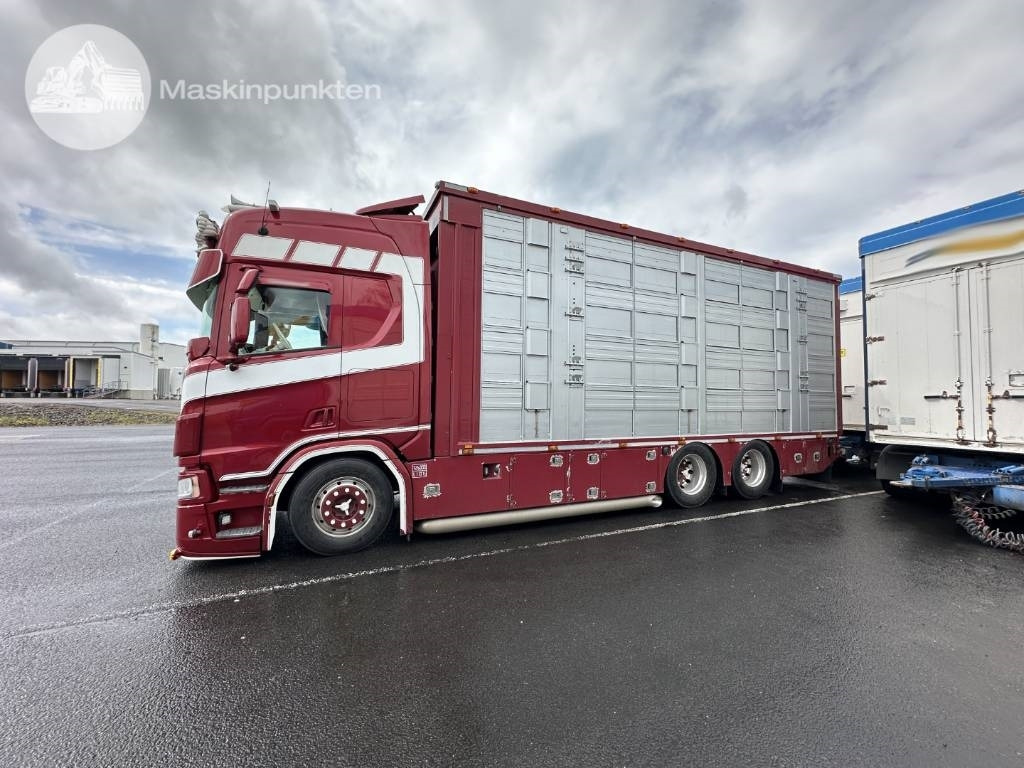 Scania R 580 Ekipage - Tovornjak za prevoz živine: slika 1 Scania R 580 Ekipage - Tovornjak za prevoz živine: slika 1