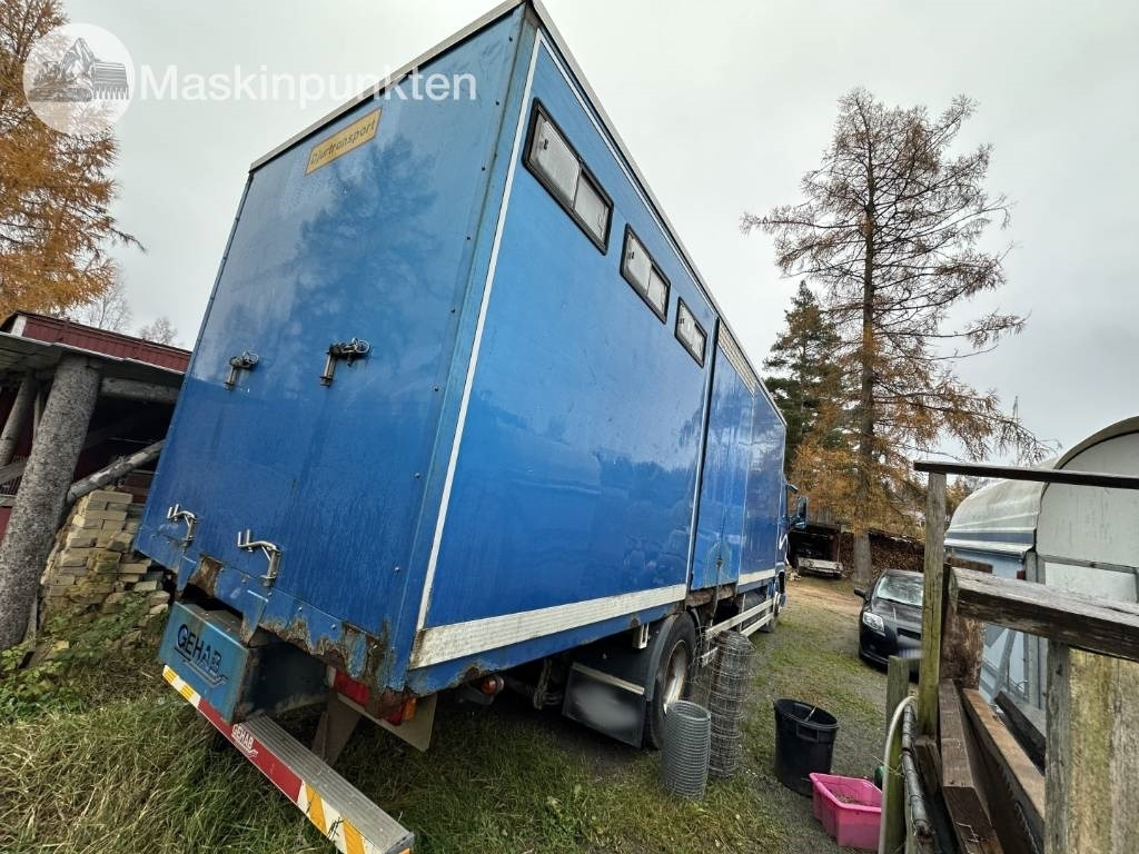 Volvo FH 12 - Tovornjak za prevoz živine: slika 4 Volvo FH 12 - Tovornjak za prevoz živine: slika 4