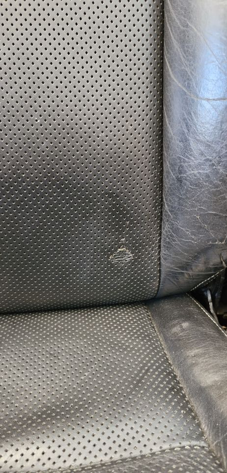 SCANIA R S FOTEL PASAŻERA - Sedež: slika 5 SCANIA R S FOTEL PASAŻERA - Sedež: slika 5