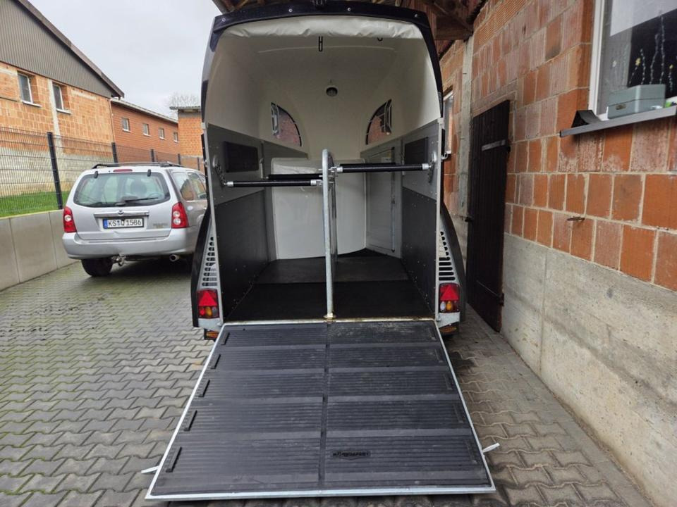 Böckmann Pferdeanhänger Champion R SaKa. WCF-Fahrwerk 100 km/h - Prikolica za konje: slika 4 Böckmann Pferdeanhänger Champion R SaKa. WCF-Fahrwerk 100 km/h - Prikolica za konje: slika 4