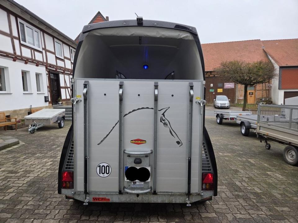 Böckmann Pferdeanhänger Champion R SaKa. WCF-Fahrwerk 100 km/h - Prikolica za konje: slika 3 Böckmann Pferdeanhänger Champion R SaKa. WCF-Fahrwerk 100 km/h - Prikolica za konje: slika 3