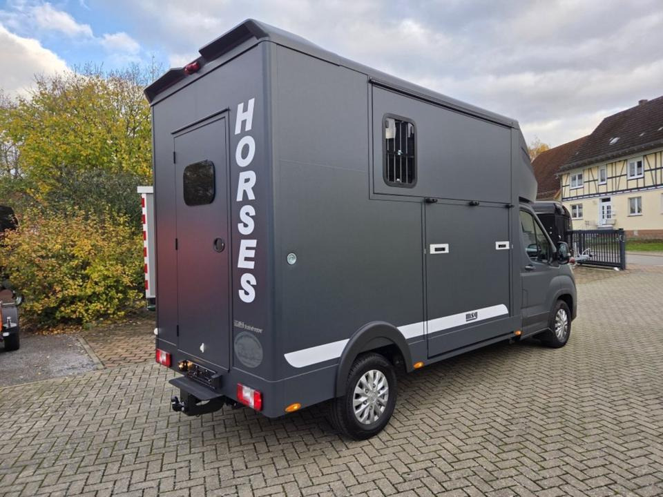 MSG Stablehopper Pferdetransporter Pferdeanhänger Böckmann - Tovornjak za prevoz konj: slika 3 MSG Stablehopper Pferdetransporter Pferdeanhänger Böckmann - Tovornjak za prevoz konj: slika 3