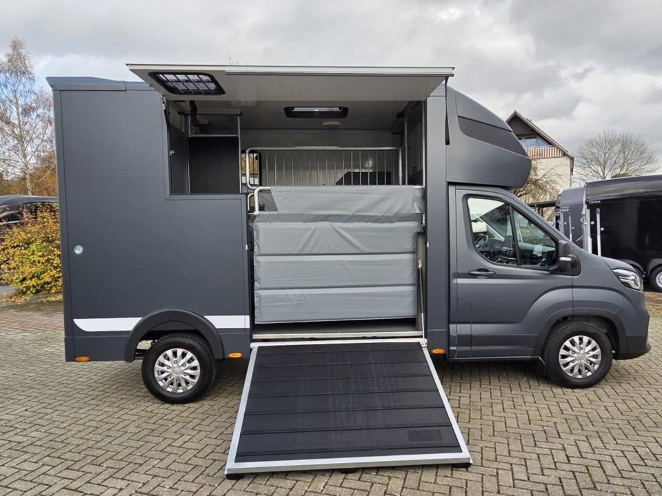 MSG Stablehopper Pferdetransporter Pferdeanhänger Böckmann - Tovornjak za prevoz konj: slika 3 MSG Stablehopper Pferdetransporter Pferdeanhänger Böckmann - Tovornjak za prevoz konj: slika 3