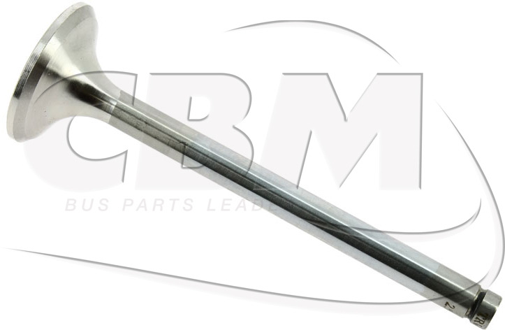 CBM EXHAUST VALVE - MANN FILTRE (C311256) - Ventil za Avtobus: slika 1 CBM EXHAUST VALVE - MANN FILTRE (C311256) - Ventil za Avtobus: slika 1