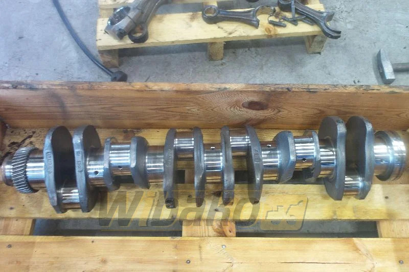 Case 6T-830 - Ročična gred za Gradbeni stroj: slika 1 Case 6T-830 - Ročična gred za Gradbeni stroj: slika 1