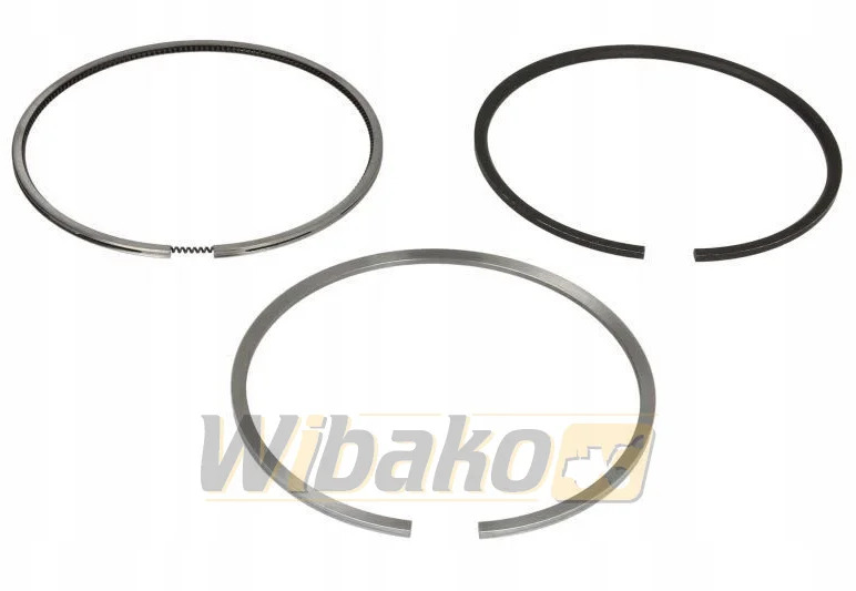 Kolbenschmidt 800119810000 - Bati/ Obroči/ Puše za Gradbeni stroj: slika 1 Kolbenschmidt 800119810000 - Bati/ Obroči/ Puše za Gradbeni stroj: slika 1