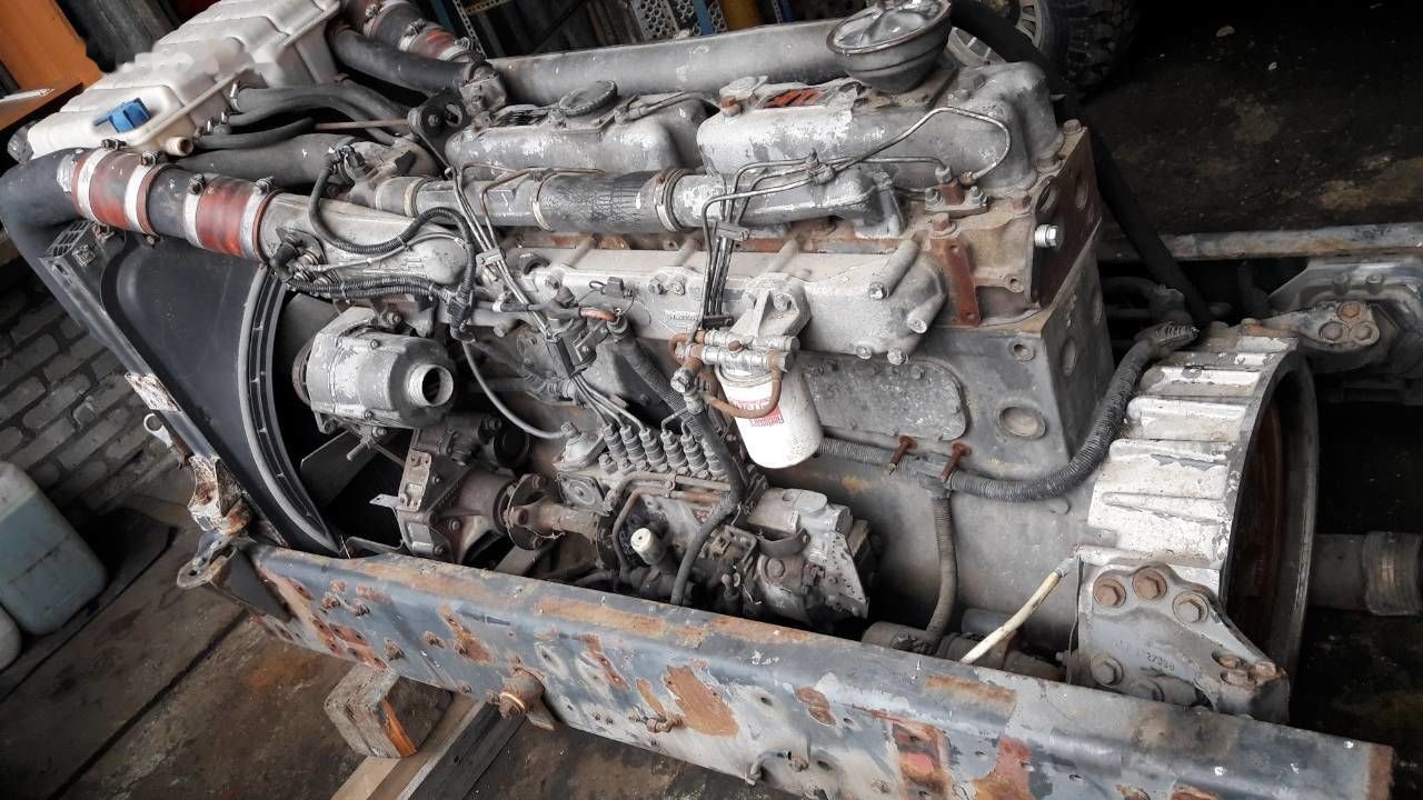 DAF WS268G DAF 95 85 - Motor za Tovornjak: slika 3 DAF WS268G DAF 95 85 - Motor za Tovornjak: slika 3
