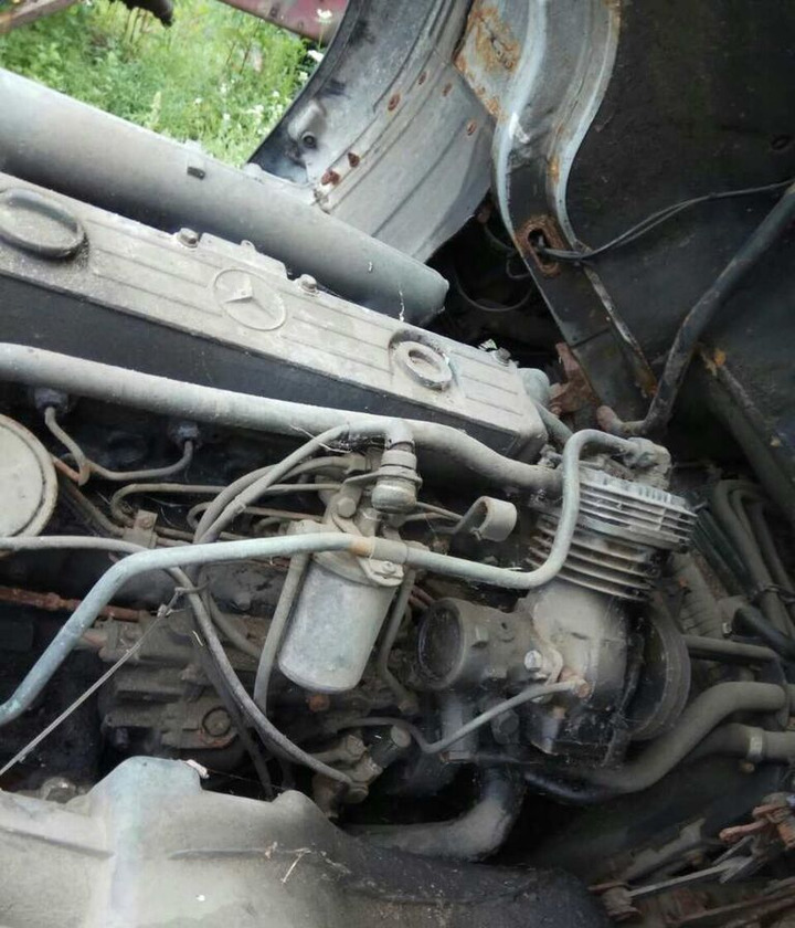 Mercedes-Benz OM366 170 E2 Mercedes-Benz - Motor za Tovornjak: slika 1 Mercedes-Benz OM366 170 E2 Mercedes-Benz - Motor za Tovornjak: slika 1