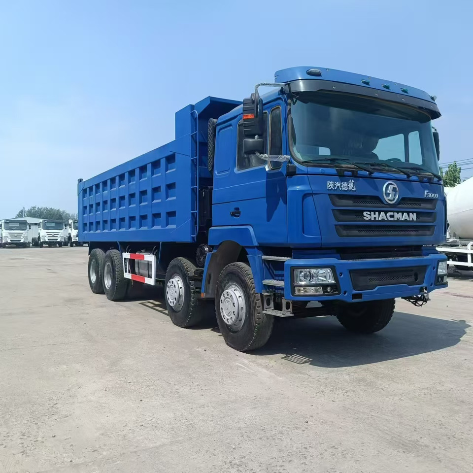 SHACMAN F3000 6X4 Click Here for DISCOUNT - Tovornjak prekucnik: slika 1 SHACMAN F3000 6X4 Click Here for DISCOUNT - Tovornjak prekucnik: slika 1