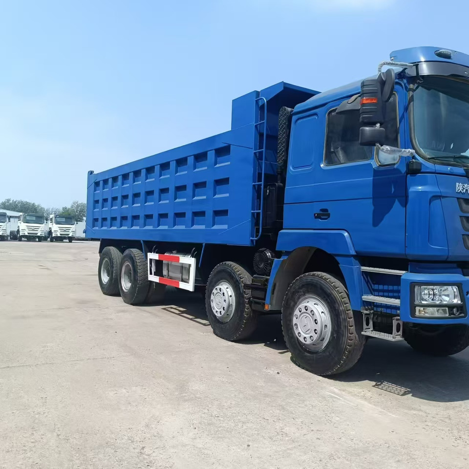 SHACMAN F3000 6X4 Click Here for DISCOUNT - Tovornjak prekucnik: slika 4 SHACMAN F3000 6X4 Click Here for DISCOUNT - Tovornjak prekucnik: slika 4
