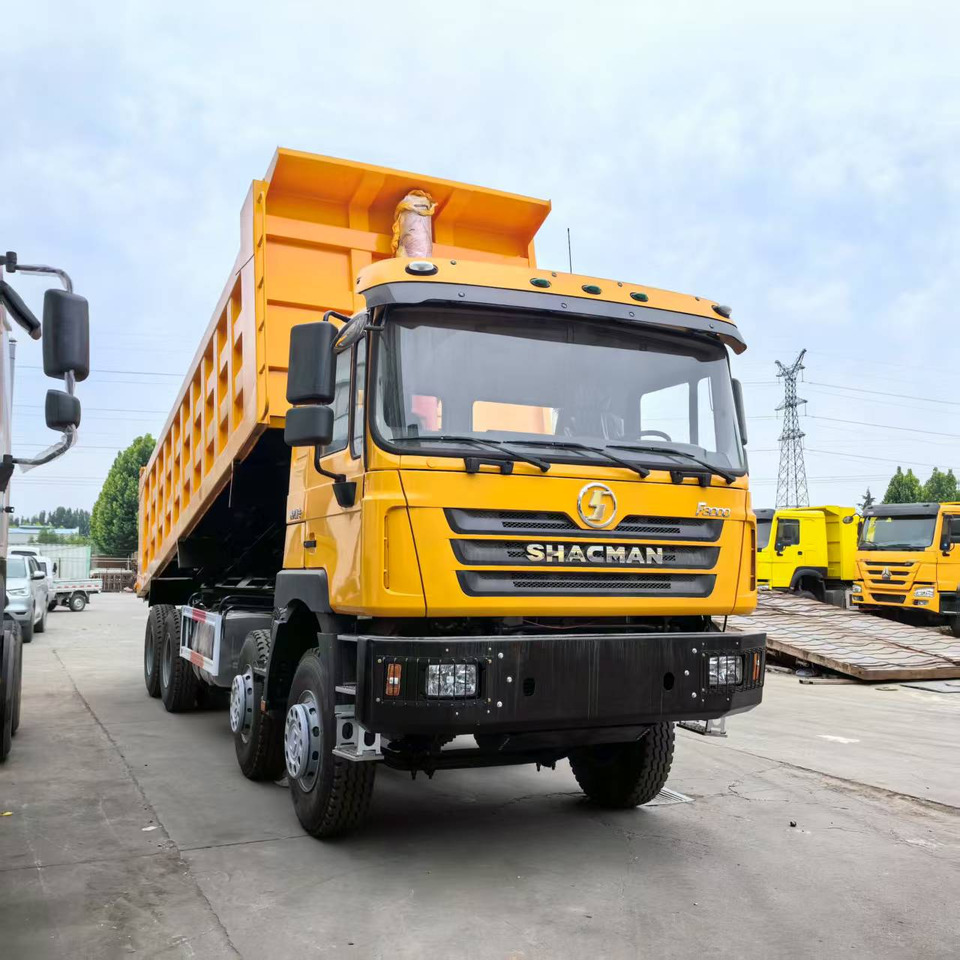 SHACMAN F3000 8X4 CLICK HERE FOR DISCOUNT - Tovornjak prekucnik: slika 2 SHACMAN F3000 8X4 CLICK HERE FOR DISCOUNT - Tovornjak prekucnik: slika 2