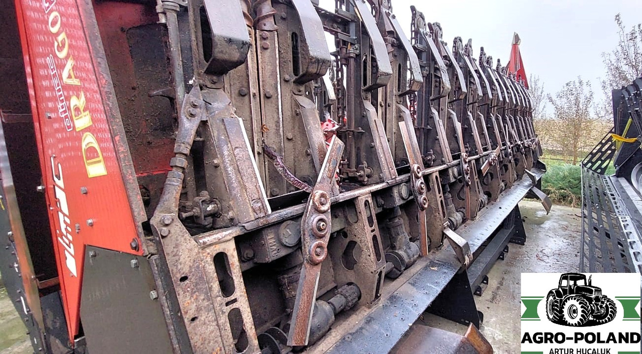 OLIMAC DRAGO S 8 TR - 8X70 - 2014 ROK - Kombajn za koruzo: slika 1 OLIMAC DRAGO S 8 TR - 8X70 - 2014 ROK - Kombajn za koruzo: slika 1