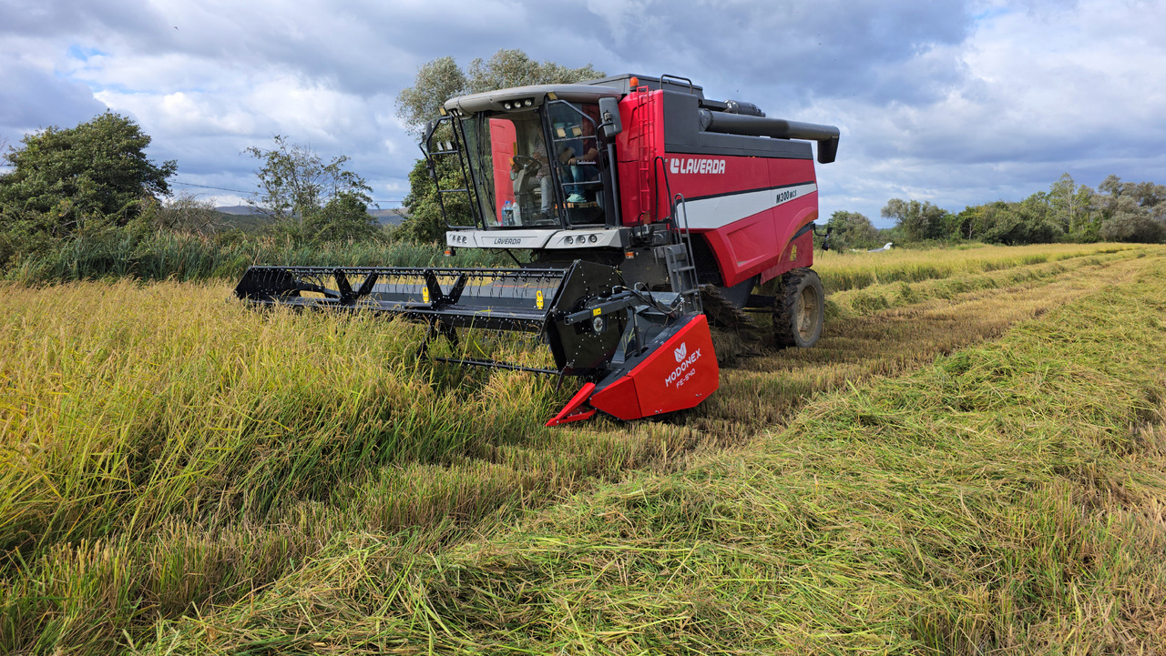 Modonex FE-600 - Glava za kombajn: slika 4 Modonex FE-600 - Glava za kombajn: slika 4