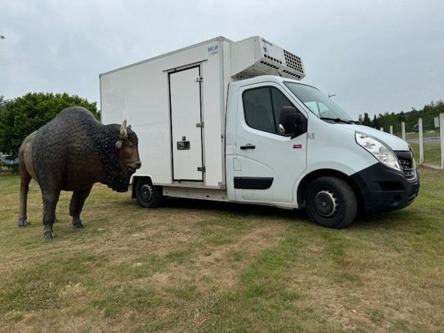 Renault Master - Hladilno vozilo: slika 5 Renault Master - Hladilno vozilo: slika 5