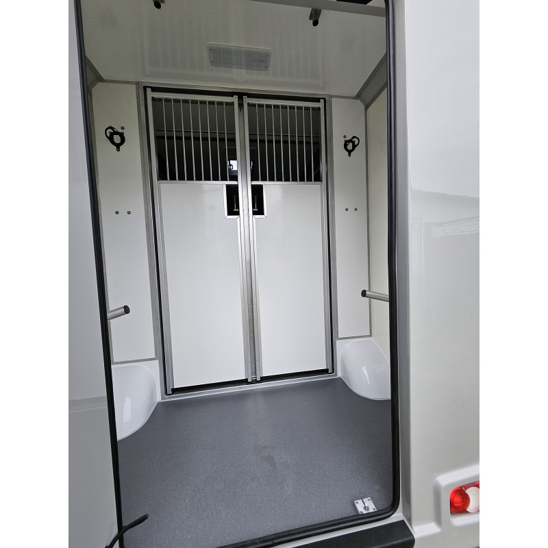 Opel Movano AKX by Stephex - Tovornjak za prevoz konj: slika 4 Opel Movano AKX by Stephex - Tovornjak za prevoz konj: slika 4