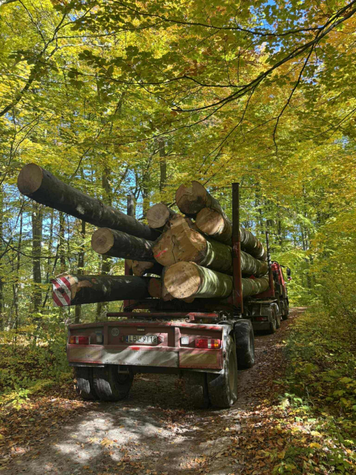 DAF CF510 - Tovornjak za prevoz lesa, Tovornjak z dvigalom: slika 3 DAF CF510 - Tovornjak za prevoz lesa, Tovornjak z dvigalom: slika 3