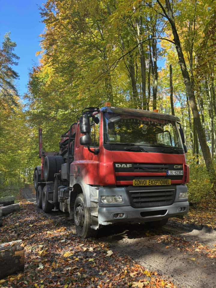 DAF CF510 - Tovornjak za prevoz lesa, Tovornjak z dvigalom: slika 1 DAF CF510 - Tovornjak za prevoz lesa, Tovornjak z dvigalom: slika 1