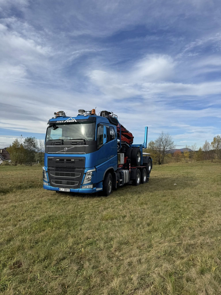 VOLVO FH540 - Tovornjak za prevoz lesa, Tovornjak z dvigalom: slika 2 VOLVO FH540 - Tovornjak za prevoz lesa, Tovornjak z dvigalom: slika 2