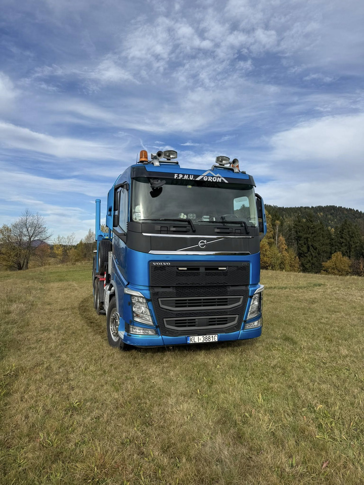 VOLVO FH540 - Tovornjak za prevoz lesa, Tovornjak z dvigalom: slika 4 VOLVO FH540 - Tovornjak za prevoz lesa, Tovornjak z dvigalom: slika 4