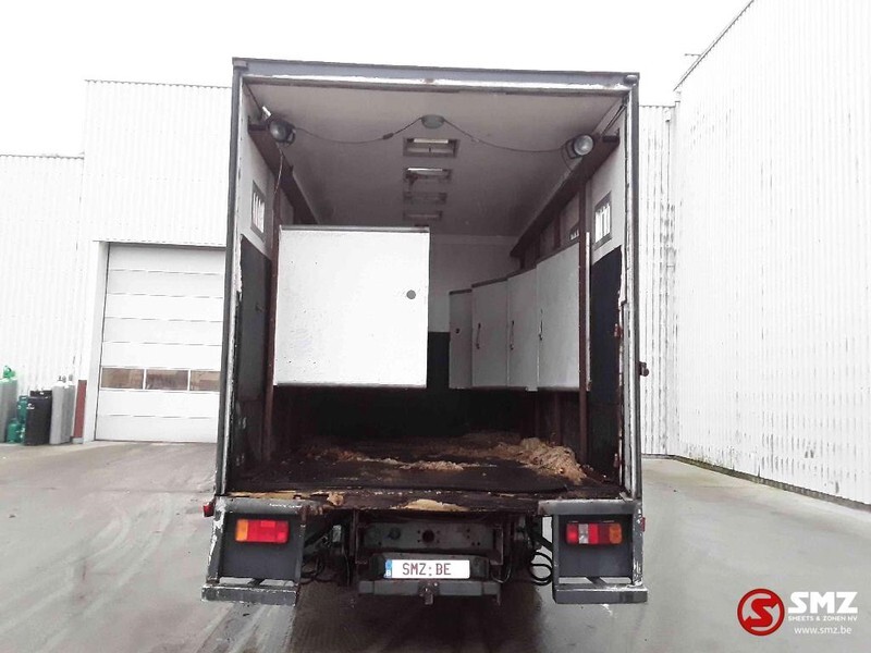 Tovornjak za prevoz živine Iveco Magirus 80 16 horse truck: slika 9