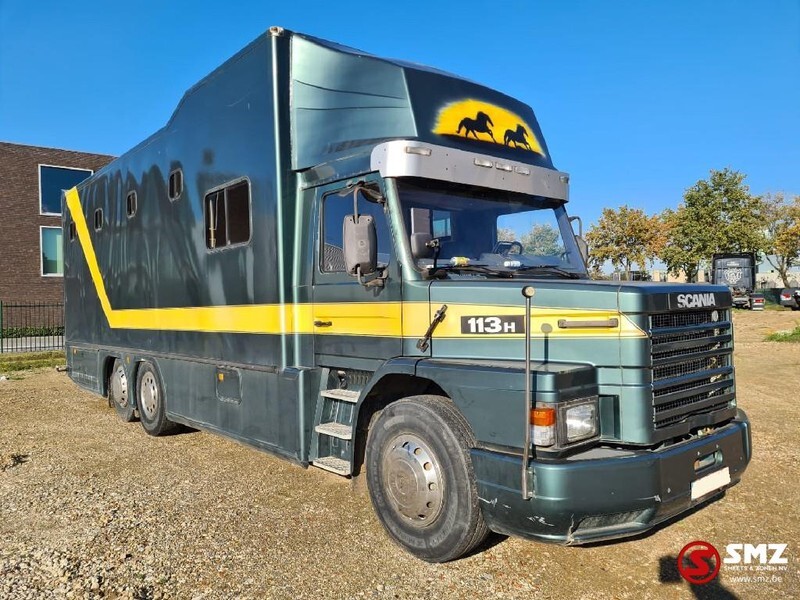 Scania 113 paarden/mobilhome - Tovornjak za prevoz konj: slika 2 Scania 113 paarden/mobilhome - Tovornjak za prevoz konj: slika 2