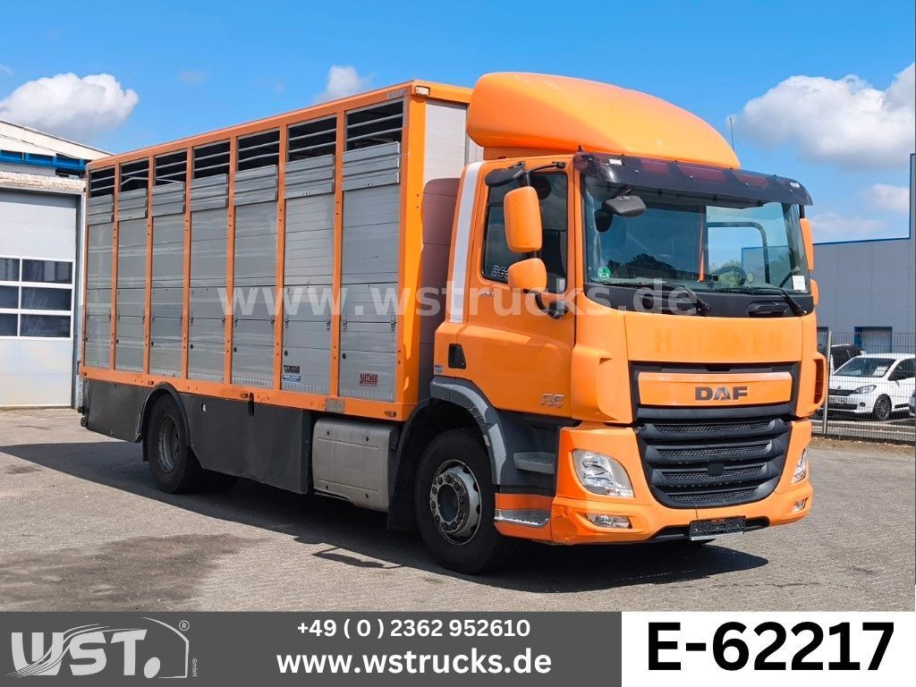 DAF CF 400 Menke Einstock - Tovornjak za prevoz konj: slika 1 DAF CF 400 Menke Einstock - Tovornjak za prevoz konj: slika 1