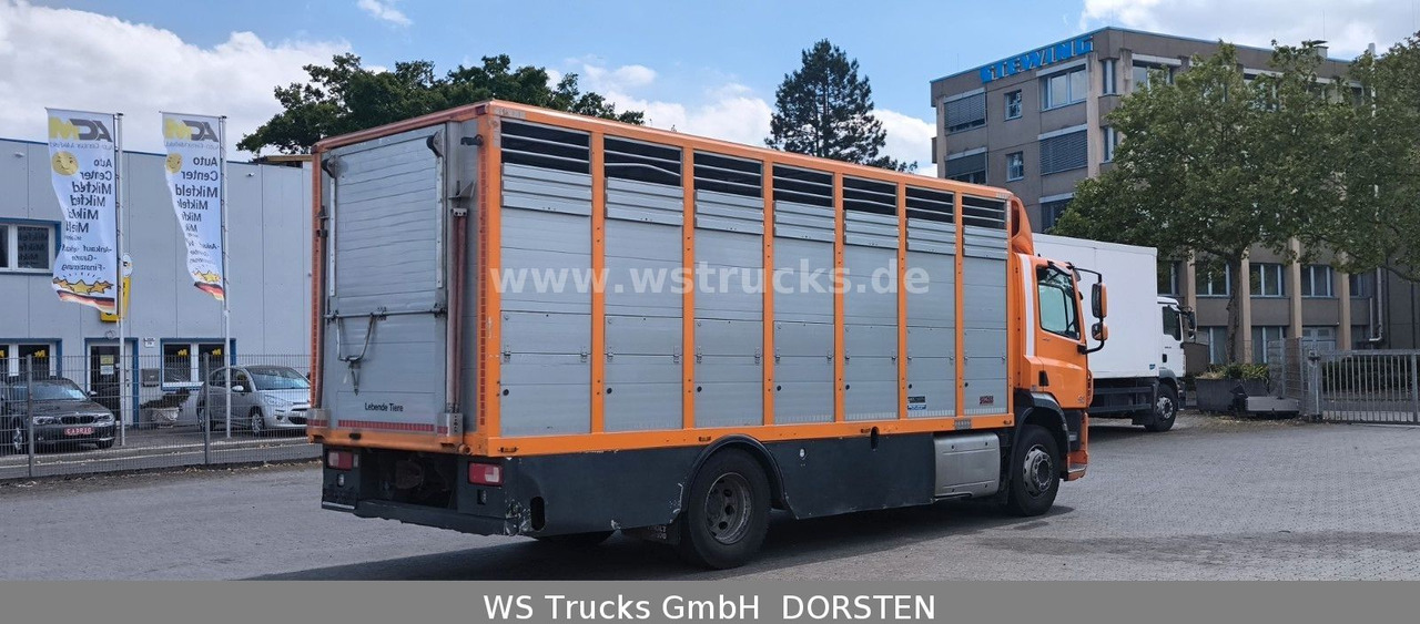 DAF CF 400 Menke Einstock - Tovornjak za prevoz konj: slika 5 DAF CF 400 Menke Einstock - Tovornjak za prevoz konj: slika 5